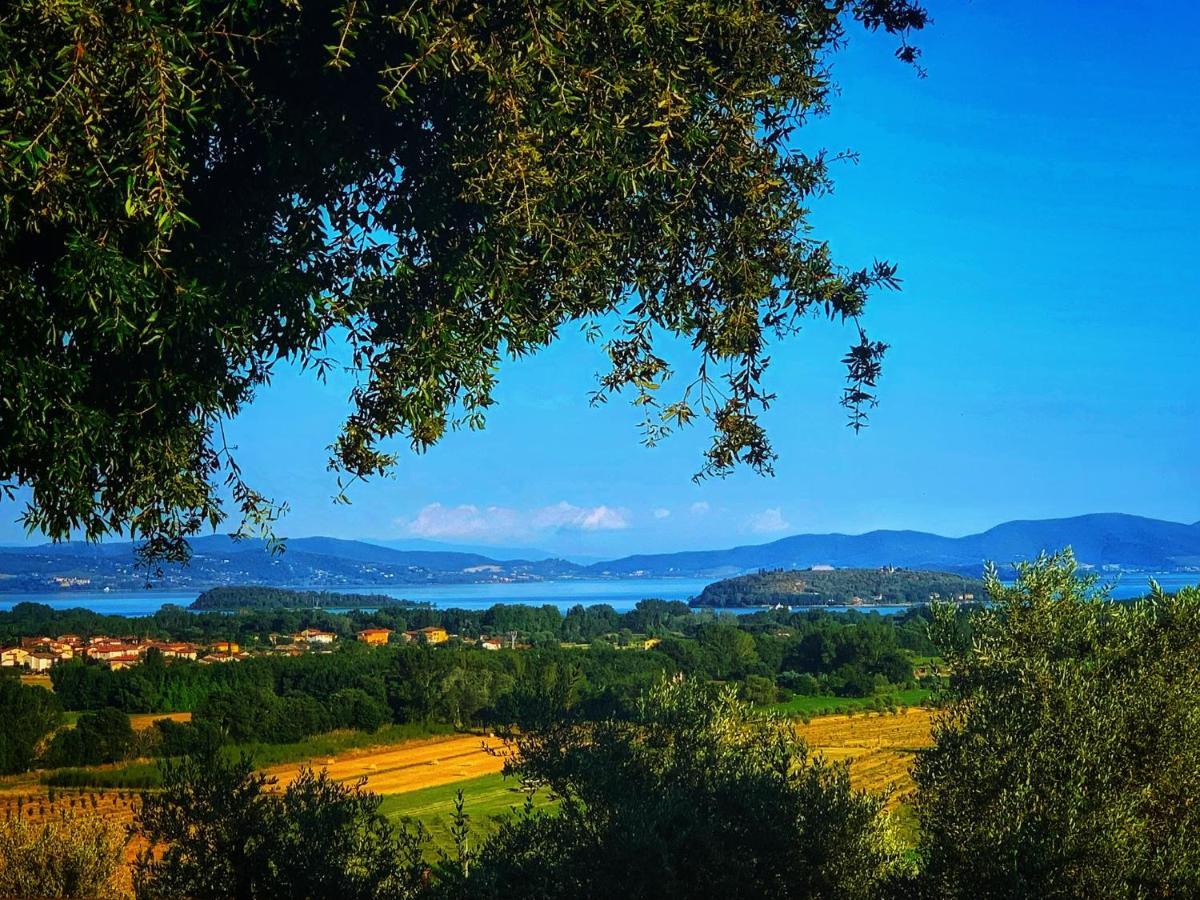 Agriturismo Annibale トゥオーロ・スル・トラジメーノ エクステリア 写真