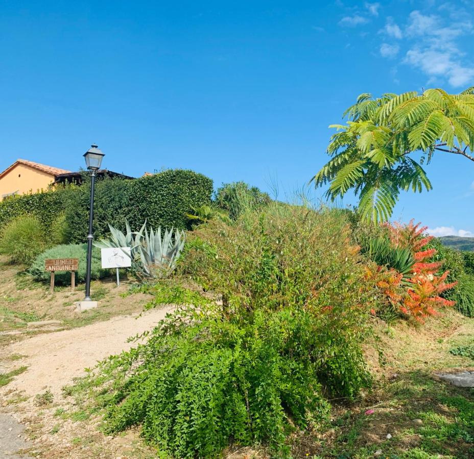 Agriturismo Annibale トゥオーロ・スル・トラジメーノ エクステリア 写真