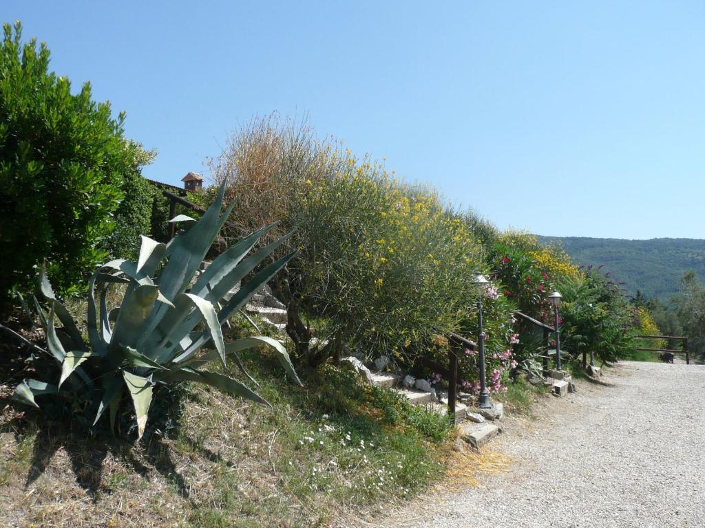 Agriturismo Annibale トゥオーロ・スル・トラジメーノ エクステリア 写真